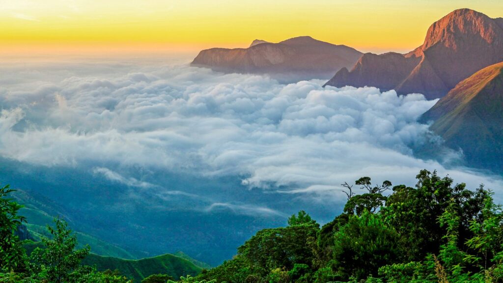 munnar taxi service